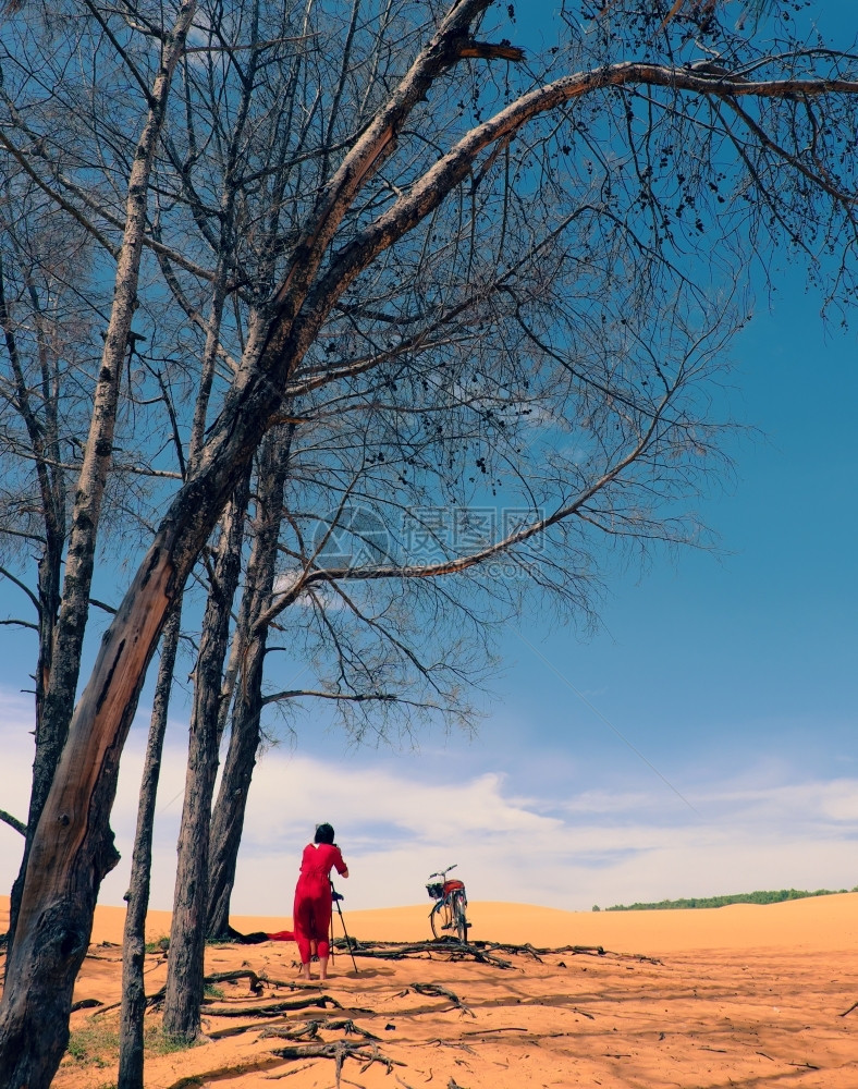 黄色的范假期在越南梅内独自旅行的妇女穿着红礼服的女孩和在树下黄色沙丘上骑着自行车的拍女孩旅游者享受这趟行图片