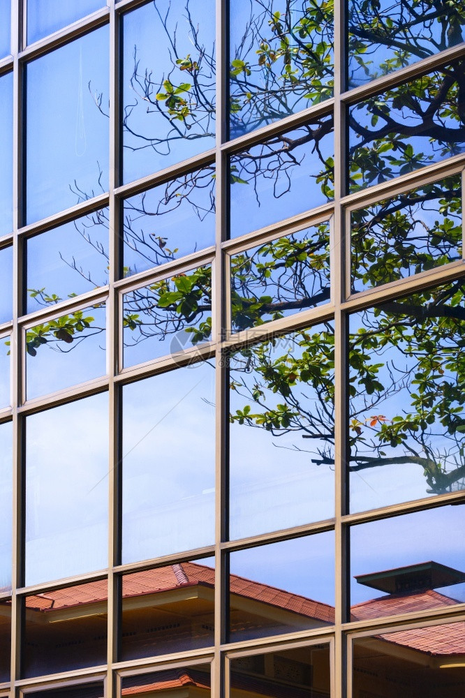 未来派在垂直架状现代建筑的玻璃墙面上有绿色树枝和蓝天空的瓷砖屋顶闪光反射市中心垂直的图片