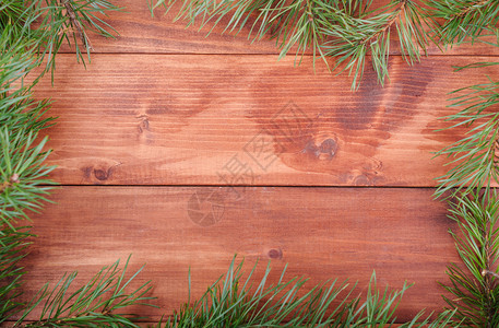 树框木形背景框状的Spruce树枝庆典生动云杉背景