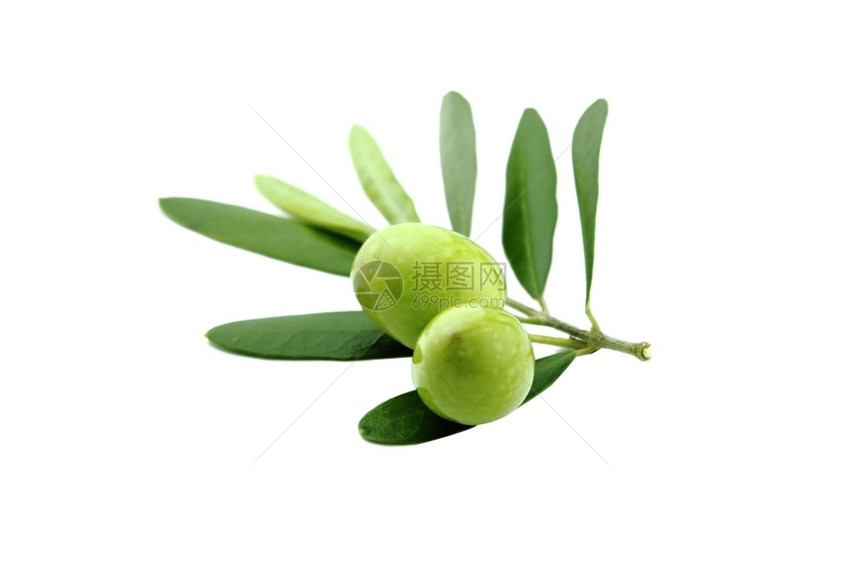 传统的新鲜成熟白色背景叶子的绿橄榄图片