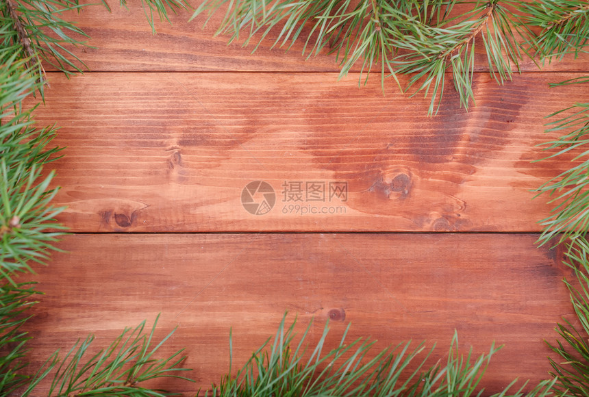 团体白色的装饰风格木形背景框状的Spruce树枝图片