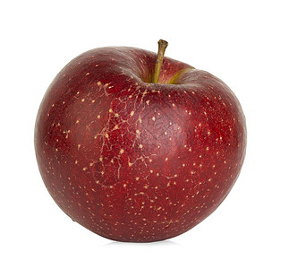 白色背景上孤立的红色苹果小路生的态图片