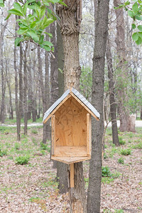 屋顶刨花板春天在树林里用木板和锌制成的手工鸟屋夏天图片