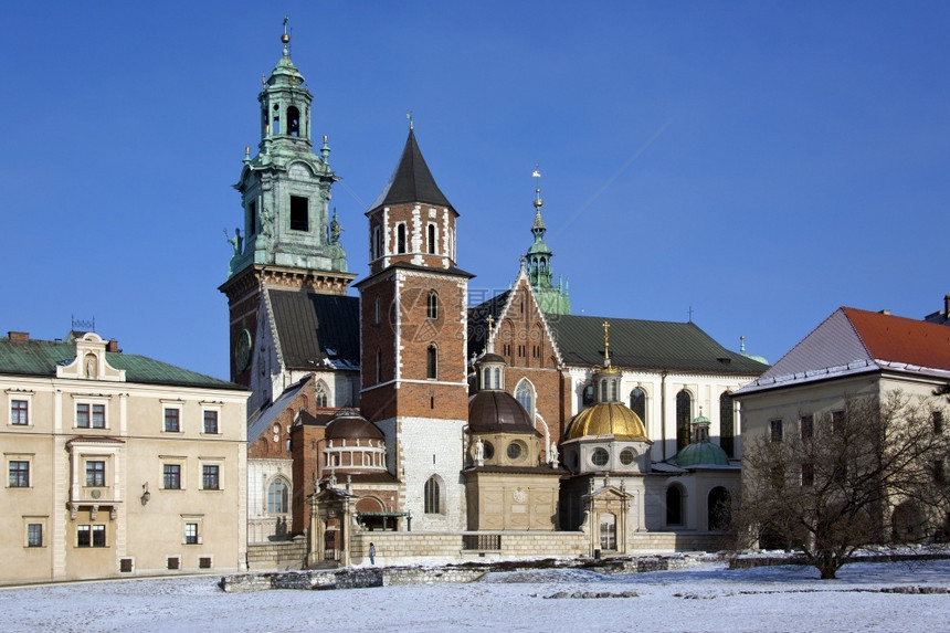 波兰克拉科夫Wawel城堡内Wawel山地的Wawel山上的皇家大教堂圣有瓦萨家族的Baroque风格小教堂和复兴Zygunto图片