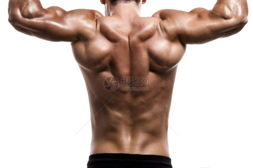 成人强的肌肉身穿工作室举起的重量在白色背景上被孤立吸引人的图片