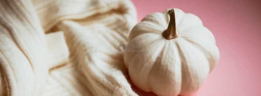 在千百年粉红背景复制品上女博客社交媒体以自然光和影子瀑布季节模版为最起码的风格呈现出创秋天白色毛衣与南瓜ChitefallEwa图片