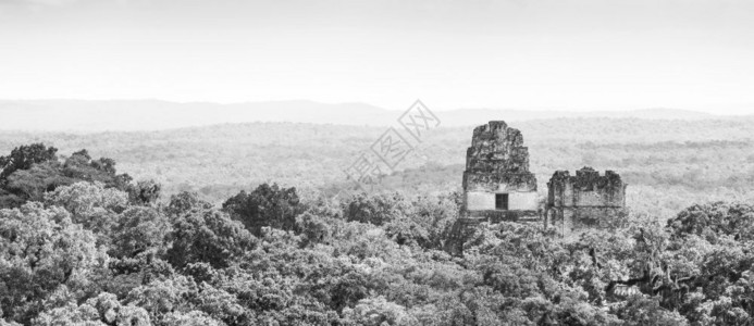 危地马拉Tikal废墟厚热带雨林黑色和白令人惊艳丛林玛雅令人惊叹的图片