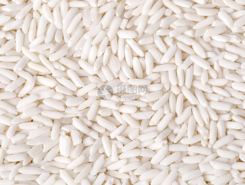 植物白新野生大米的背景亚洲人谷物图片
