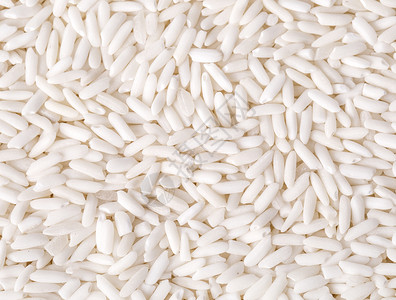 植物白新野生大米的背景亚洲人谷物图片