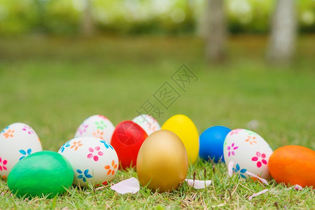 星期日花黄色的复活节鸡蛋日快乐的打猎装饰品图片