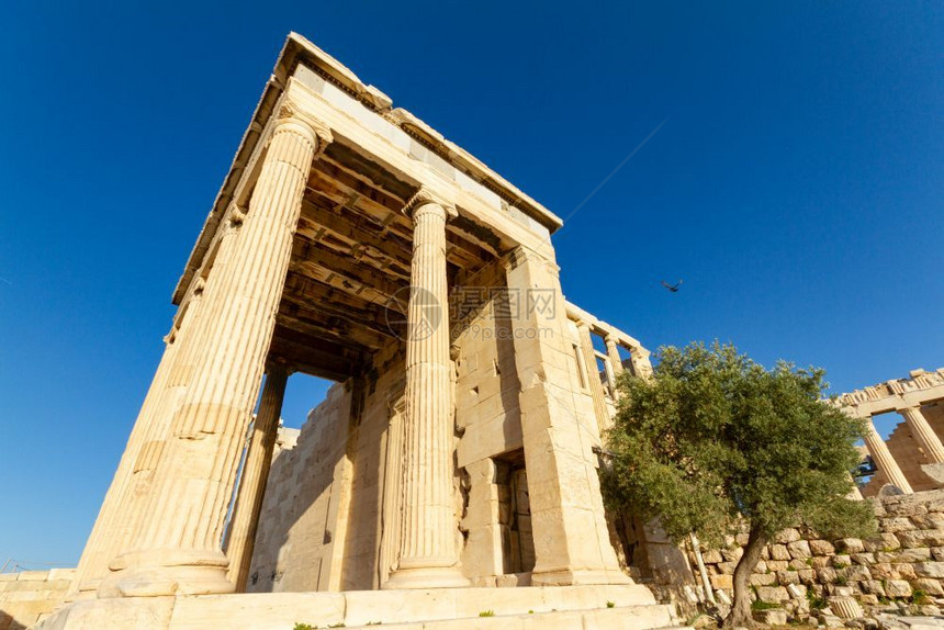 一种帕台农神庙希腊雅典的城一栏寺庙和橄榄树从低角度拍摄了相片柱子图片
