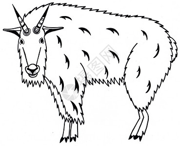纹身黑白素材环境种族的山羊Oreamnosamericanus精神动物黑白插图带有案的剪影山羊带有图案的剪影艺术背景