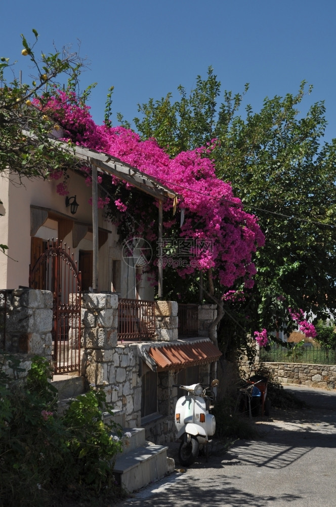 户外典型的希腊小屋配有布伦德维拉花朵和摩托车古地传统的图片