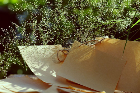 开花玻璃罐中的鲜草和纸在夜晚的阳光下吹风时用笔记纸在晚上的日晒中发出感知和平静在花园里绿色天然背景上野生小花朵惊人的散景背景