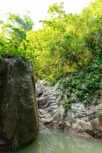 绿色呐结石夏季王太忠下水道排泰国高三井图片
