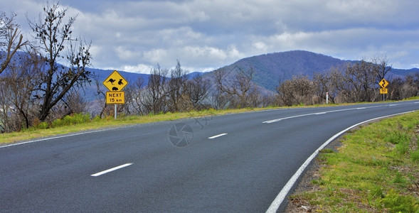 夏天户外澳大利亚的公路火灾区和交通在澳大利亚的布什纵火烧毁区和公路旅行范围背景图片