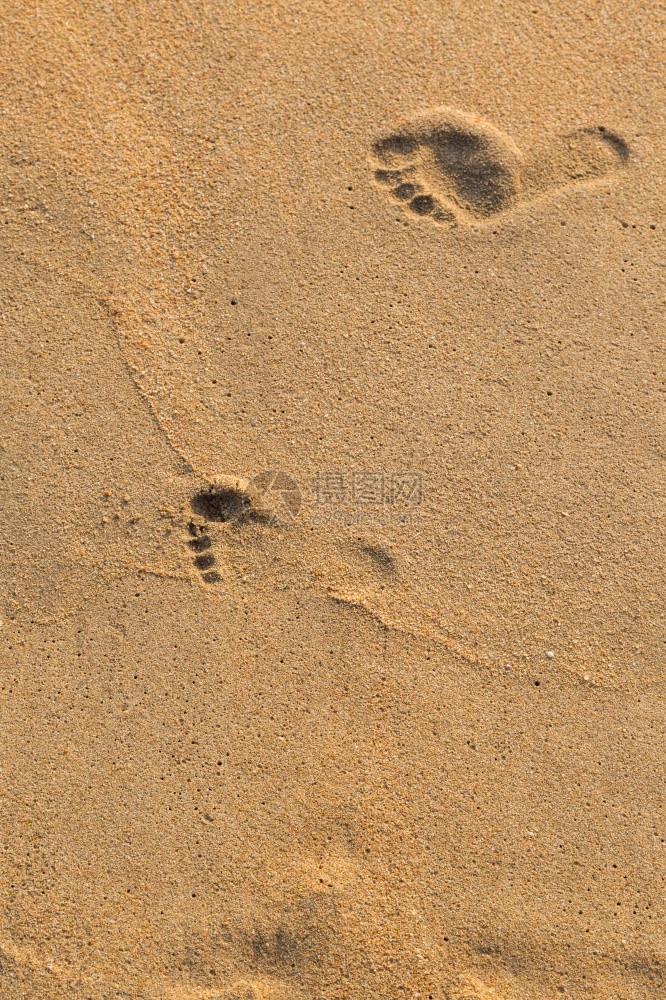 放松海滩背景上父亲和孩子的脚印页追踪旅行图片