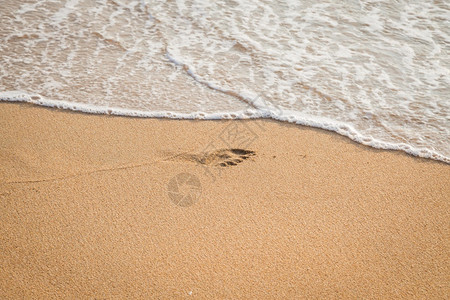 海滩背景上孩子的脚印页记海洋质地图片