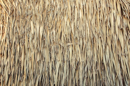 干草和稻的海堆或沙石纹理背景粗糙的小屋金图片