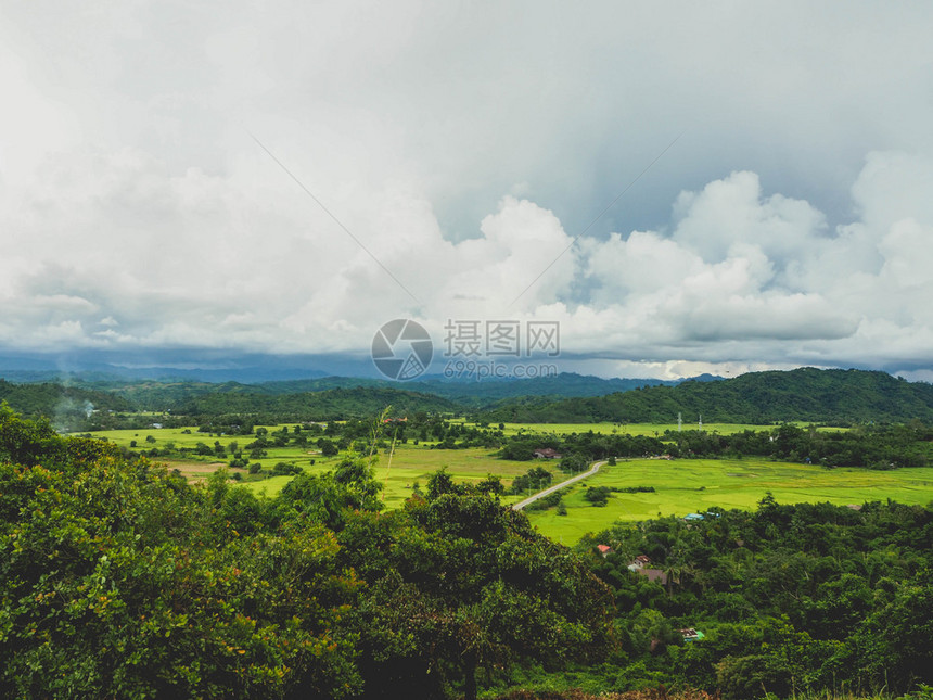 美丽的森林田地图片