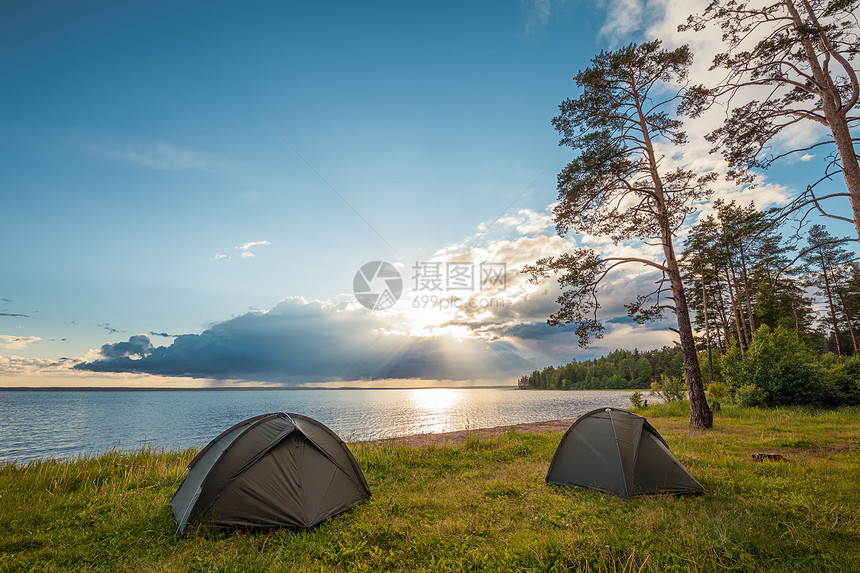 松林附近湖岸边旅游帐篷图片