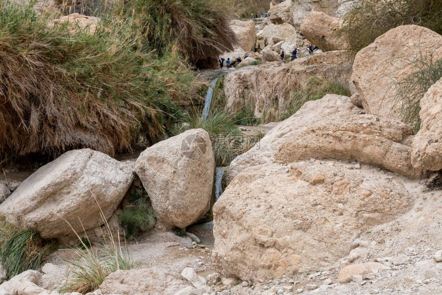 游客绿洲EinGediIsrael岛死海公园EinGedi的瀑布上玩得开心的人在公园EinGedi的瀑布上以色列图片