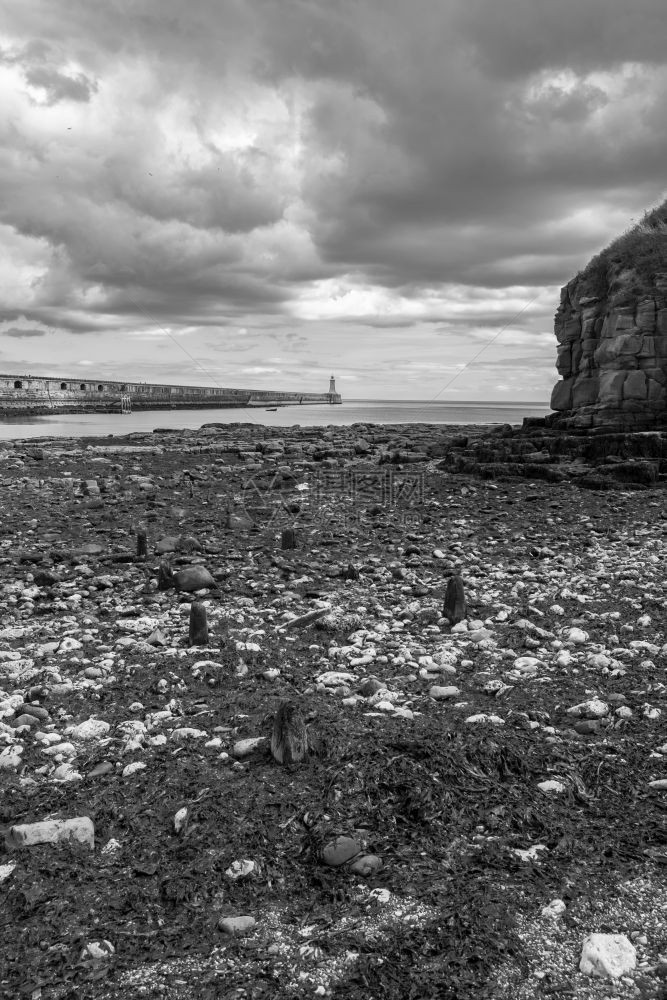 泰尼茅斯码头和灯塔周围美丽的风景Tynemouth联合王国黑白相印肖像格式岩石帕利卡拉斯墙图片