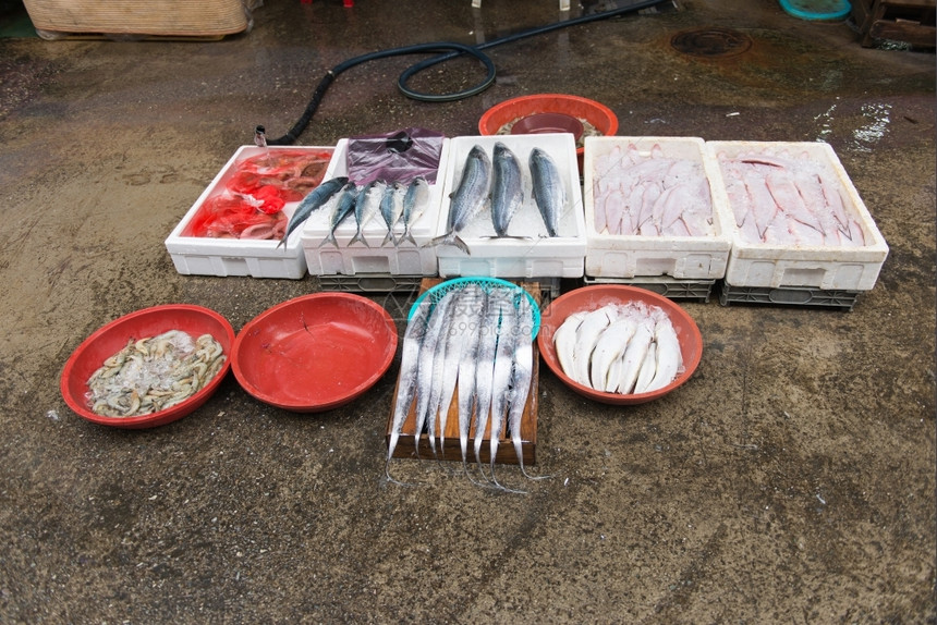 排有质感的南韩Yeosu当地鱼市场有鲜和冰上海食鲜图片