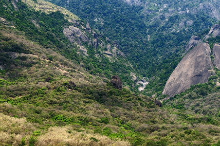 环境印度有厚植被的西海茶叶摄影高止山脉图片