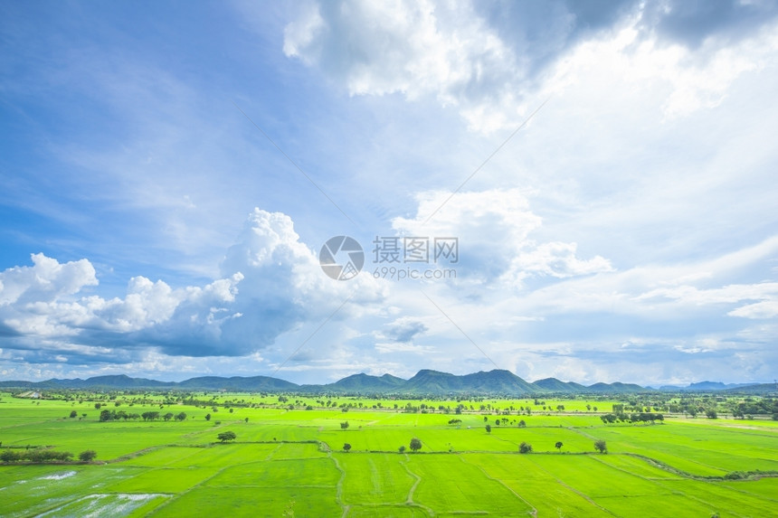 树景观爬坡道稻田和云的后面山峰覆盖了天际航空图片