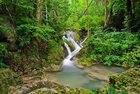 公园景观泰国热带雨林瀑布的风景泰国热带雨林户外图片