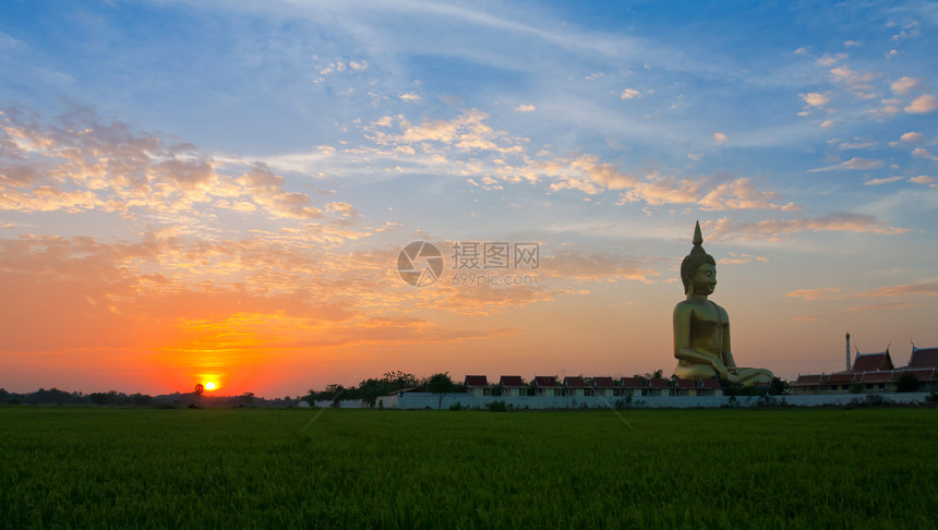 泰国金的上帝黄大布吉达雕像和日出时青绿田图片