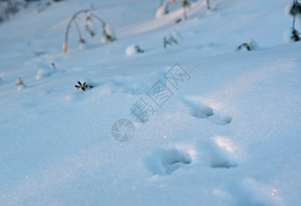 路线雪上脚印和阴影细节雪堆图片