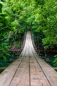 风景秀丽的林中空吊桥荡的小路周围无人公园暂停高的图片