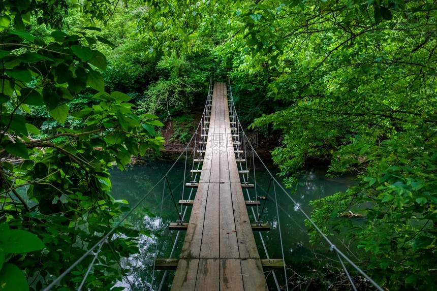 热带绞刑风景秀丽的林中空吊桥荡的小路风景秀丽的林中空吊桥周围无人预订图片