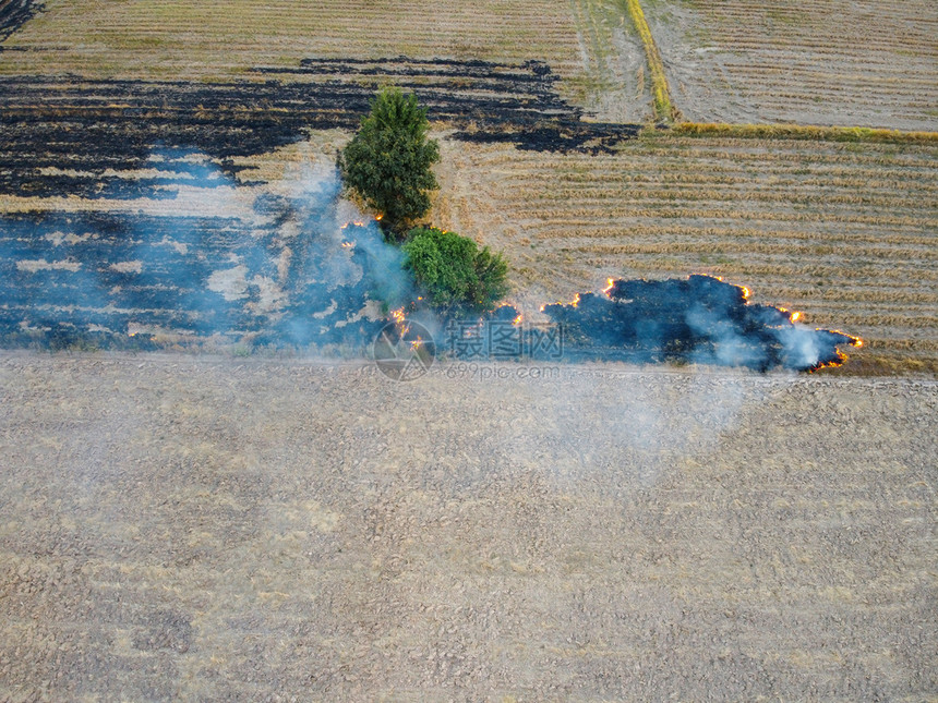 由无人驾驶飞机焚烧农产品环境保护和全球变暖概念所拍摄的空中射出力与全球气候变暖有关的概念一种燃料图片