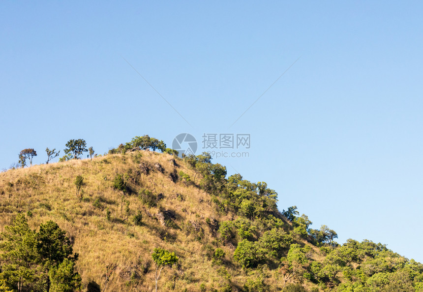 场地颜色清蓝天空下公园干草山旱阳光图片