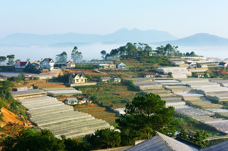 淡定温和靳东力量越南DalatLamDongLamDong等地的花卉产业发展许多温和高电能消耗可增加CO2绿色家庭效应和气候变化环境的亚洲背景