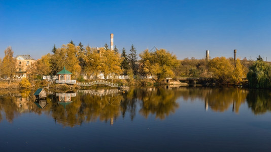 切尔卡瑟天空植物反射乌克兰切尔卡西地区Ivanki村秋天傍晚阳光明媚的秋天夜晚乌切尔卡西地区Ivanki村秋季风景与湖泊和黄树背景