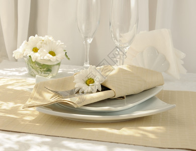 配餐具的盘子上协调装饰用餐巾纸闪亮的食物一种图片