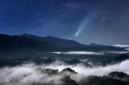 夜间雾海在天空的森林中与流星在森林中的气象器繁星点薄雾美丽的图片