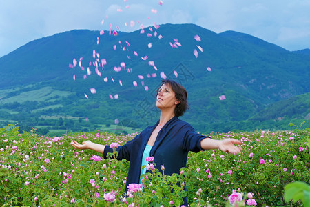 卡赞勒克爱基本的在保加利亚玫瑰谷中的妇女投掷花瓣香气背景