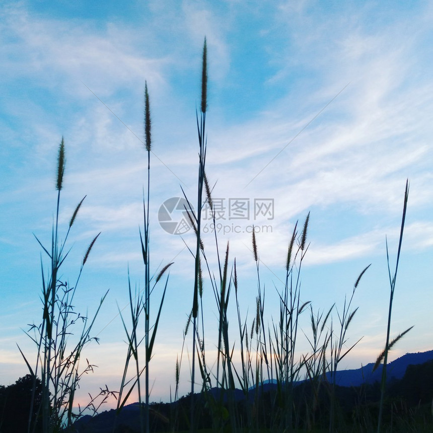 清楚的乡村土地夏季风景天空云下有绿地图片