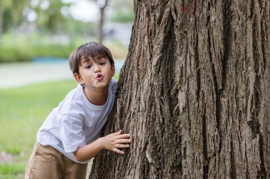 一个男孩站着拥抱一棵大树有趣的表情隐藏和寻找污染问题手臂幸福俏皮图片