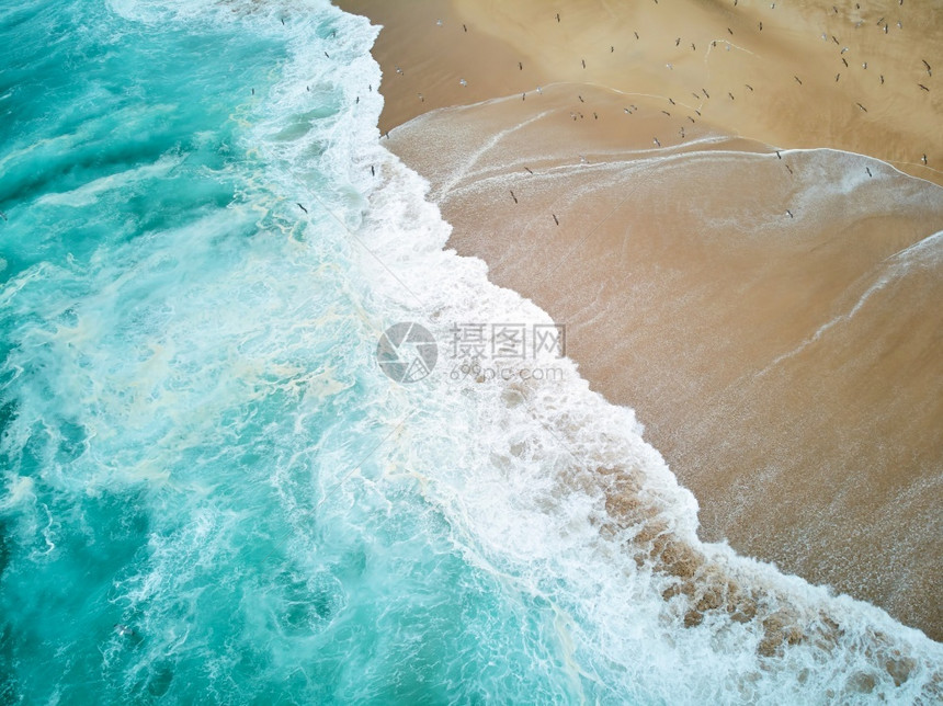 葡萄牙纳扎尔北部海滩有泡沫波浪和飞行海鸥新鲜的凉爽速度图片