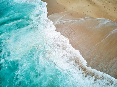葡萄牙纳扎尔北部海滩有泡沫波浪和飞行海鸥新鲜的凉爽速度图片