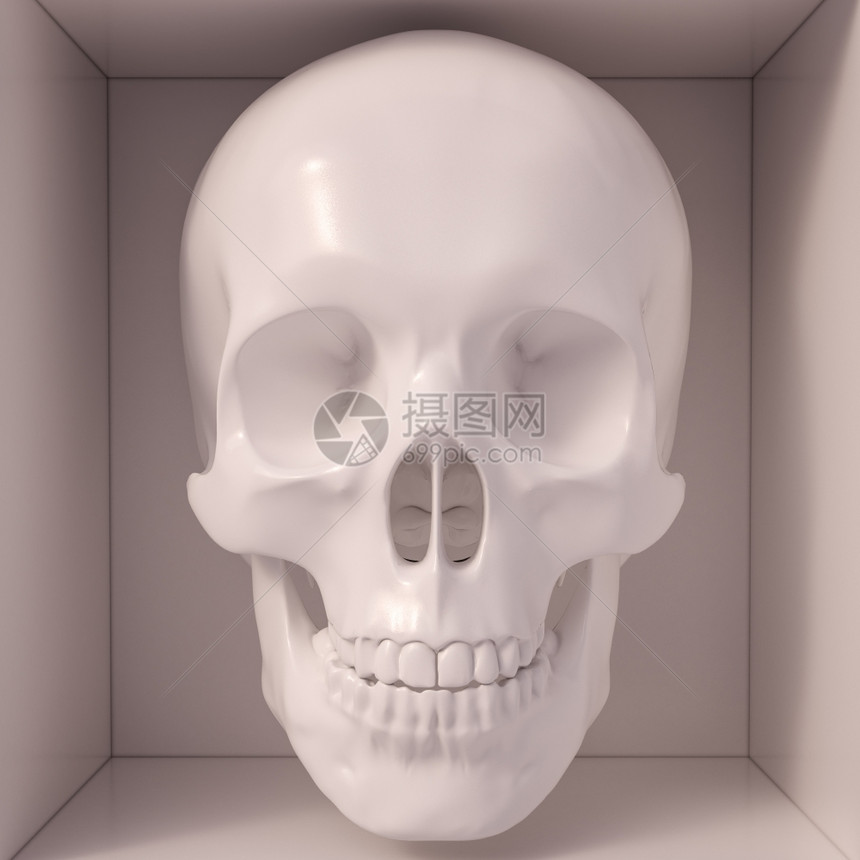 死的毒骨骼大学和专用于教授解剖学的人体头骨医模型经常用于大学和图片