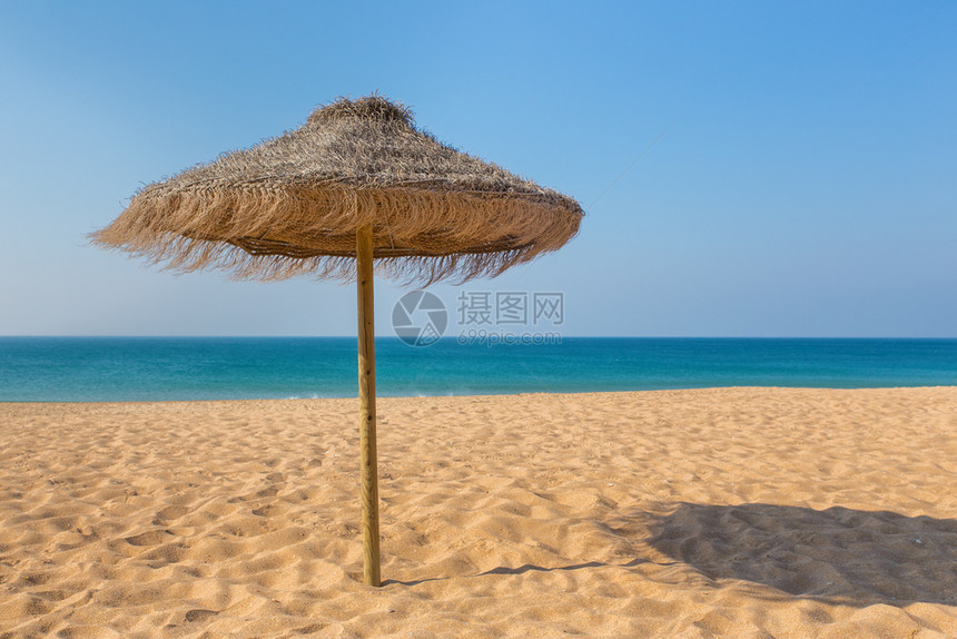 海岸中一只沙滩阳伞图片