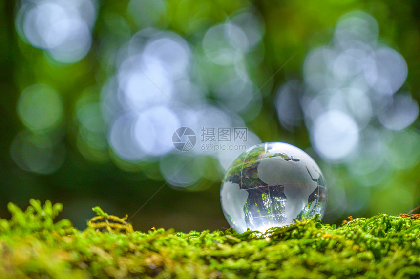 地球天生物拯救世界的理念了环境世界处于绿布基背景的草丛中图片