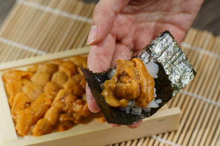 海鲜日本联合胆手持大米和海草饮食动物高清图片